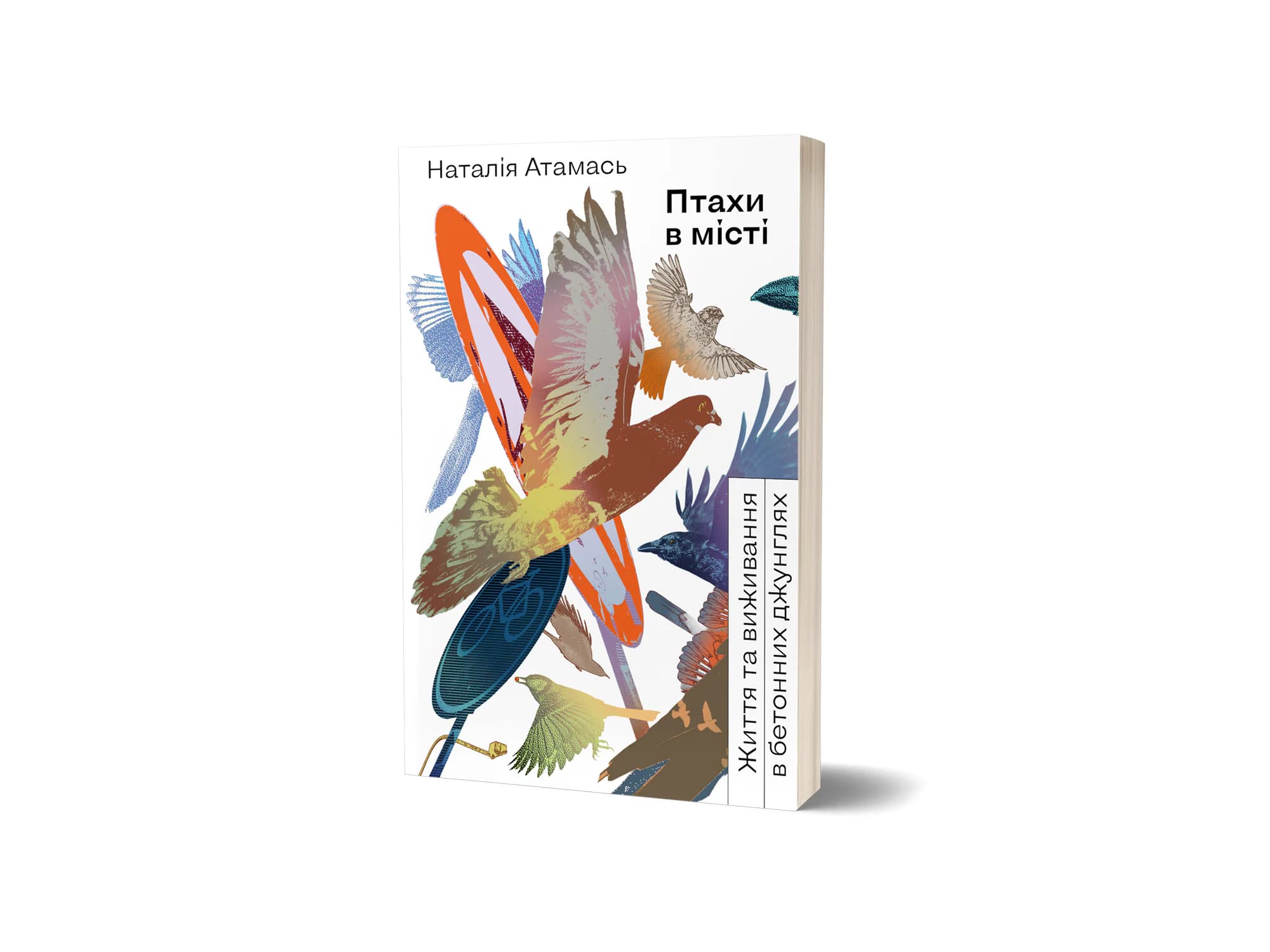 «Птахи в місті. Життя та виживання в бетонних джунглях». Уривок з книжки