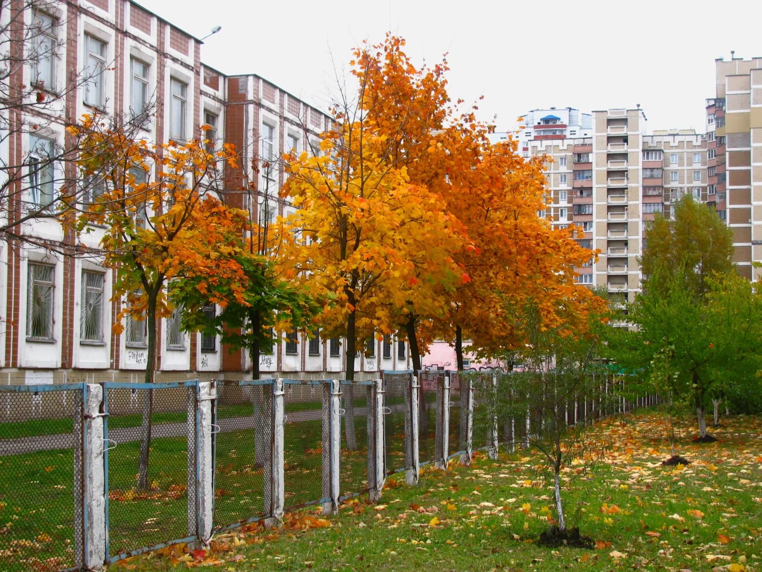 Простір біля шкіл підлітки називають безпечним.
