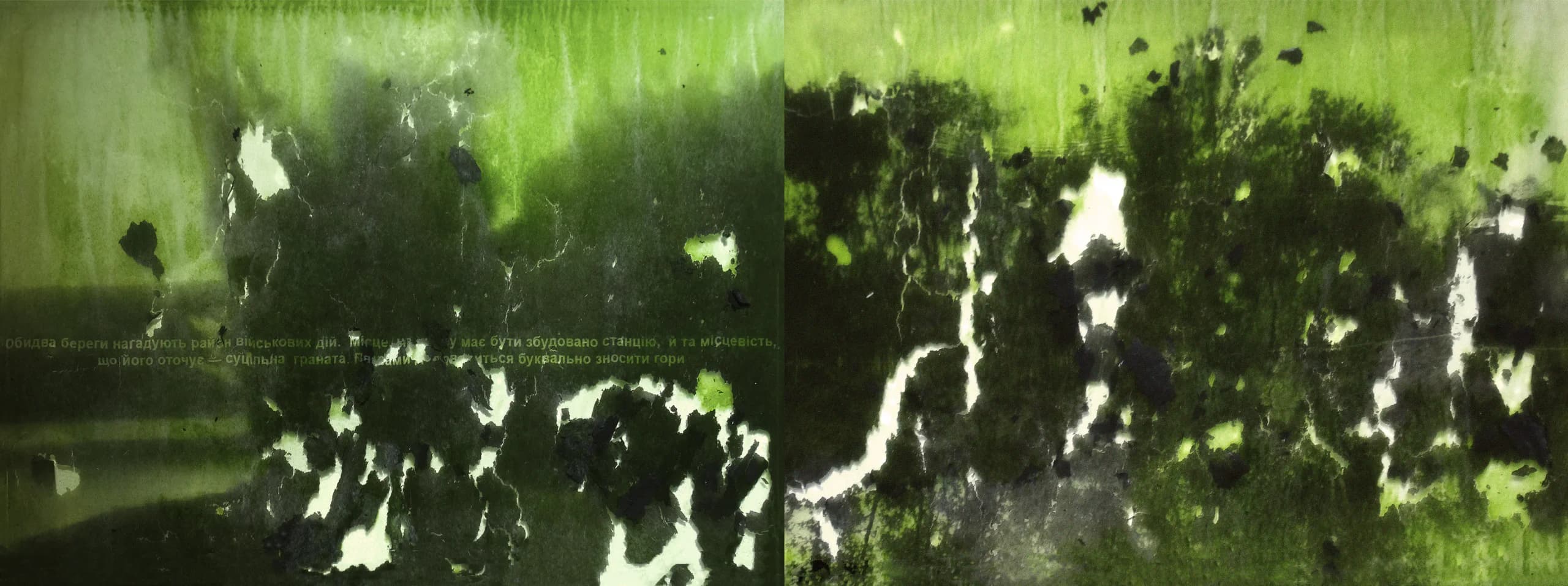 Інсталяція: чашка Петрі, зразок Chlorella vulgaris, фотозбільшувач, скляні контейнери, срібножелатиновий фотодрук; фото з виставки «Поза увагою», «Дім42», Львів, Україна