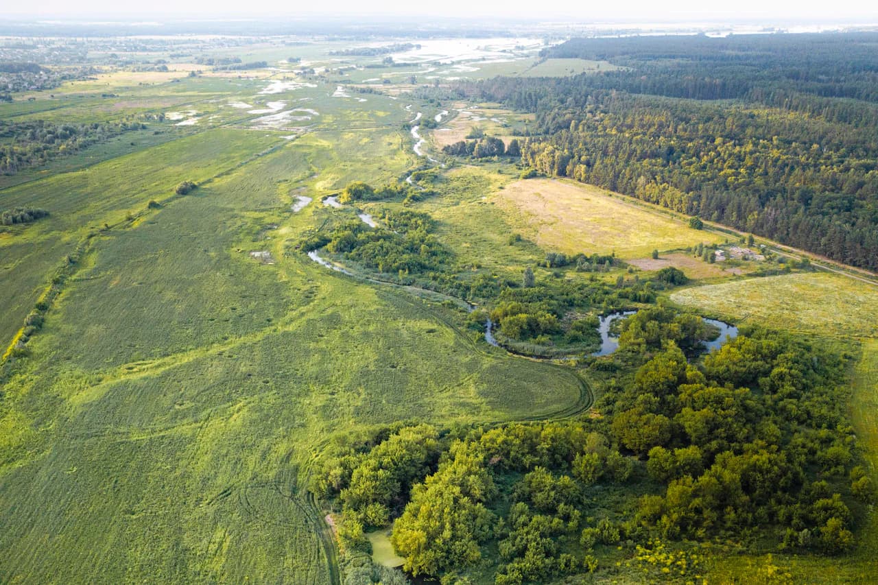 Ділянка р. Ірпінь між селами Мощун та Раківка, яка, на думку екологів, стане основним районом екологічної реставрації.