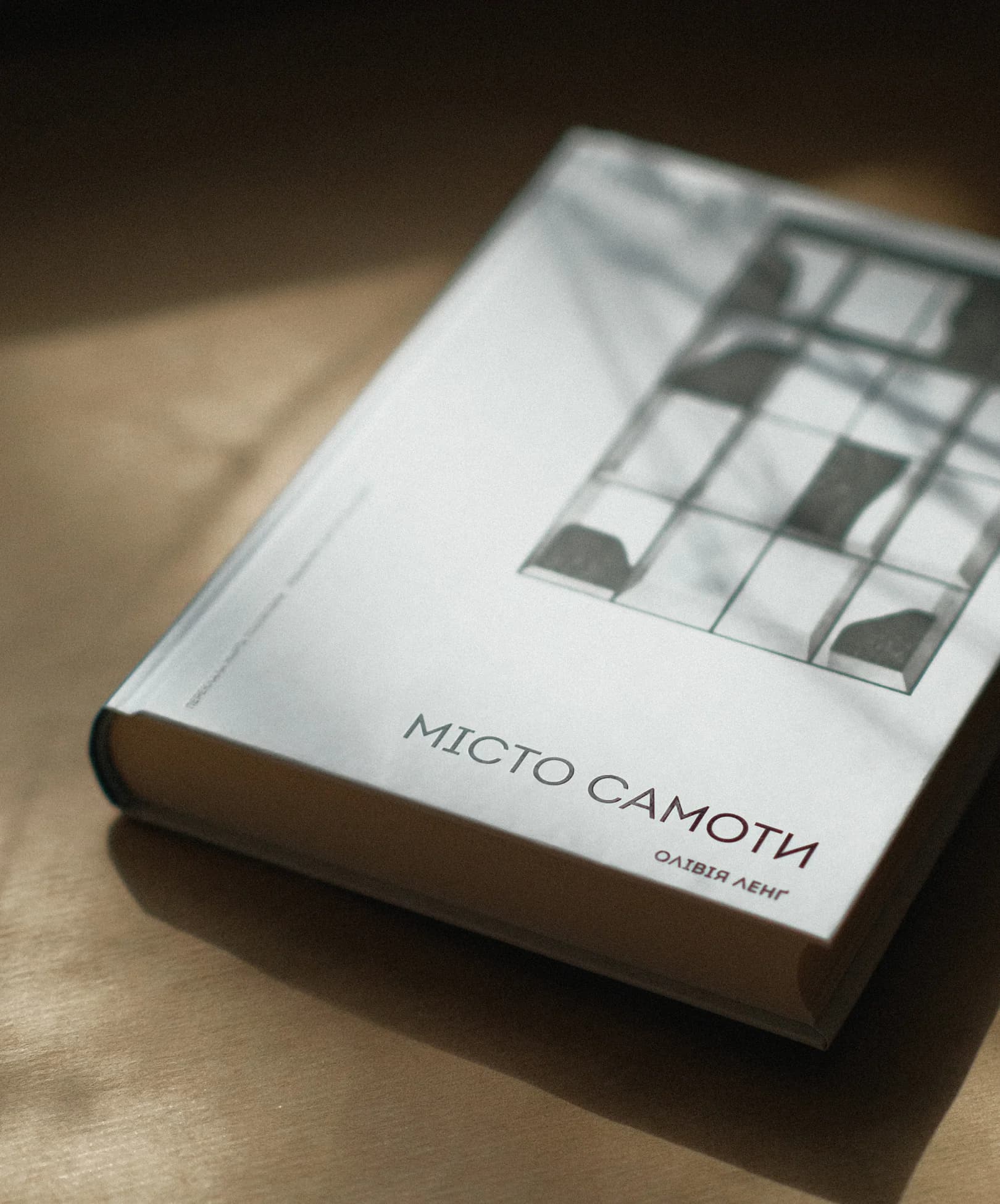 «Місто самоти» Олівії Ленґ. Уривок з книжки
