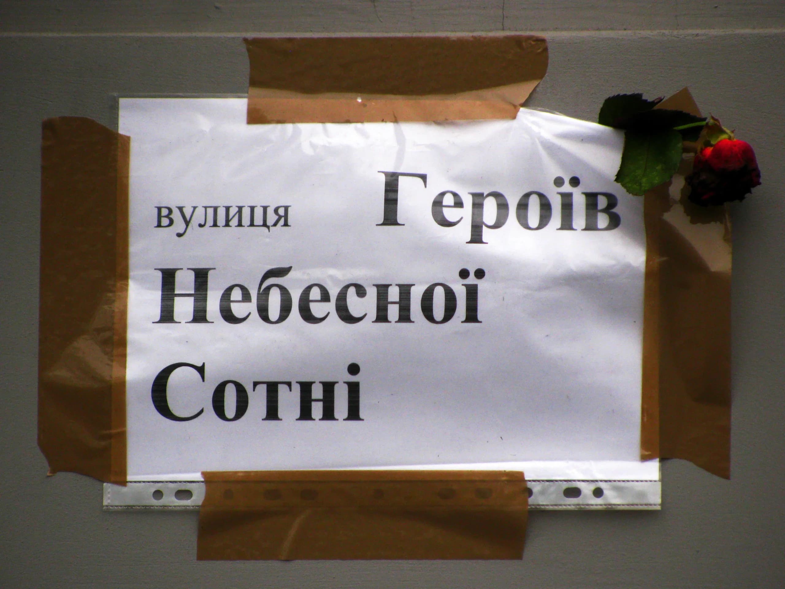 Народне перейменування вулиці Інститутської у Києві почалося відразу після розстрілу Небесної Сотні. 2 березня 2014 року