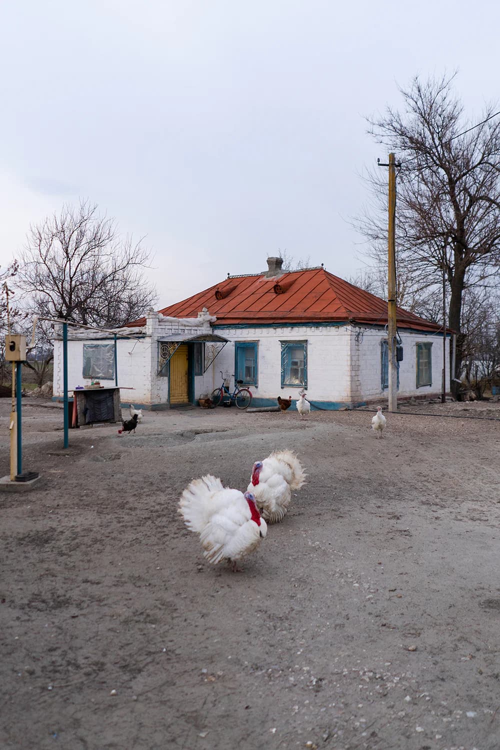 Петриківка, Дніпропетровська область