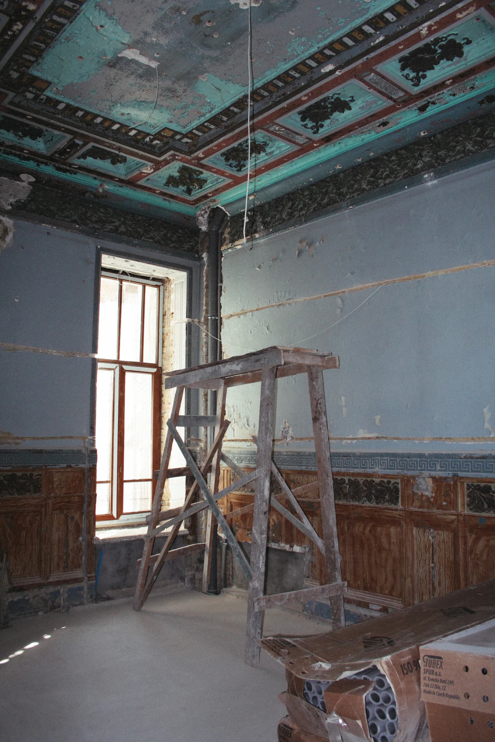 Архівні фото каштанових візерунків на стелях будівлі, 2010-ті.