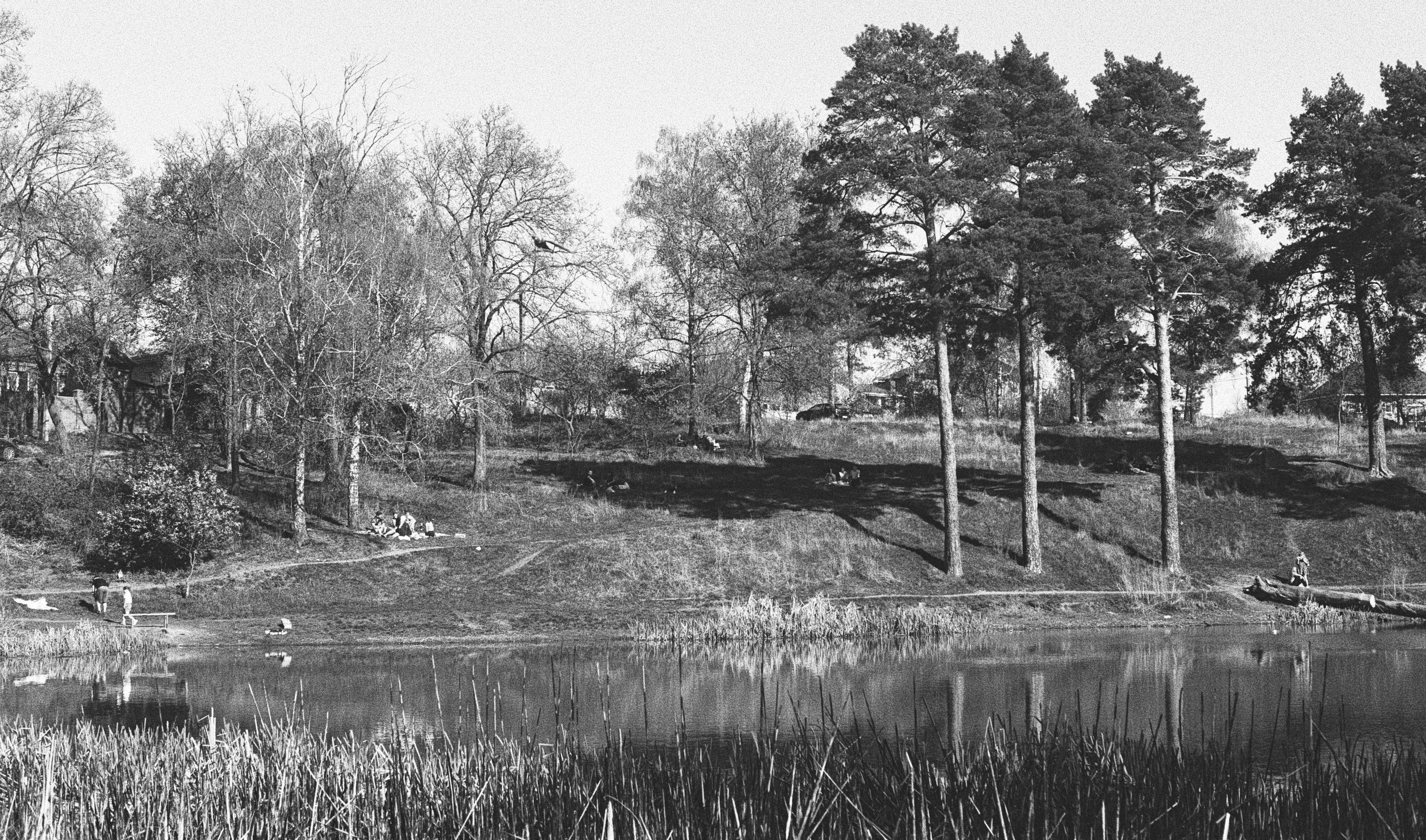 Сонячний день на березі озера, мікрорайон Хіммістечко. Фото: Анна Воробйова