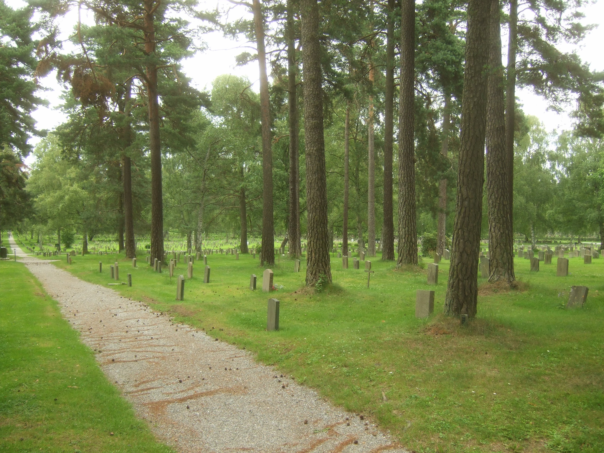 Лісове кладовище. Фото: Ганс Ліндквіст, Wikimedia